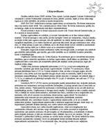 Biznesa plāns 'Biznesa plāns komercdarbībā', 20.