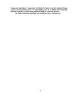 Biznesa plāns 'Biznesa plāns komercdarbībā', 21.