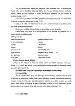 Referāts 'Fobijas', 7.