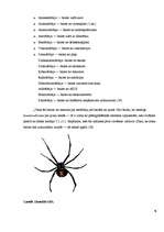 Referāts 'Fobijas', 9.