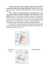 Referāts 'Miegs', 11.