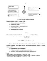 Diplomdarbs 'Preces virzīšanas tirgū pasākumu pielietojums', 17.