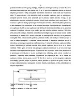 Diplomdarbs 'Preces virzīšanas tirgū pasākumu pielietojums', 32.