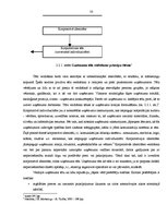 Diplomdarbs 'Preces virzīšanas tirgū pasākumu pielietojums', 33.