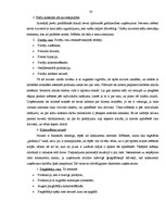 Diplomdarbs 'Preces virzīšanas tirgū pasākumu pielietojums', 58.