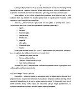 Diplomdarbs 'Preces virzīšanas tirgū pasākumu pielietojums', 65.