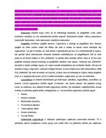 Diplomdarbs 'Preces virzīšanas tirgū pasākumu pielietojums', 87.