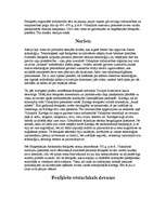 Konspekts 'Feniķija', 2.