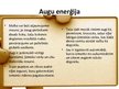 Prezentācija 'Enerģijas ieguves veidi', 11.