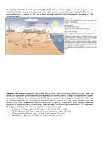 Konspekts 'Konspekts bioloģijā - 2.grāmata', 4.