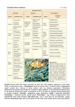 Konspekts 'Konspekts bioloģijā - 2.grāmata', 7.