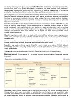 Konspekts 'Konspekts bioloģijā - 2.grāmata', 8.