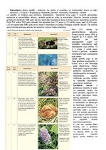 Konspekts 'Konspekts bioloģijā - 2.grāmata', 21.