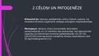 Prezentācija 'Hormonaizstājterapija sievietēm pēc menopauzes', 4.