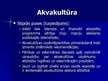 Prezentācija 'Zivsaimniecības sektora stipro un vājo pušu, iespēju, draudu izvērtējums', 12.
