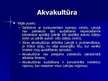 Prezentācija 'Zivsaimniecības sektora stipro un vājo pušu, iespēju, draudu izvērtējums', 13.