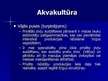 Prezentācija 'Zivsaimniecības sektora stipro un vājo pušu, iespēju, draudu izvērtējums', 14.
