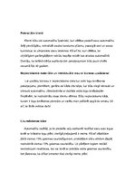 Biznesa plāns 'Automašīnu stiklu tonēšana', 3.