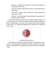 Referāts 'Septiņi jaunie pasaules dabas brīnumi', 20.