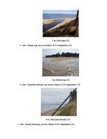 Referāts 'Septiņi jaunie pasaules dabas brīnumi', 24.