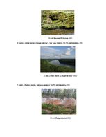 Referāts 'Septiņi jaunie pasaules dabas brīnumi', 25.