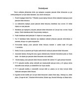 Referāts 'Septiņi jaunie pasaules dabas brīnumi', 26.