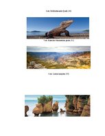 Referāts 'Septiņi jaunie pasaules dabas brīnumi', 35.