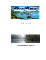 Referāts 'Septiņi jaunie pasaules dabas brīnumi', 41.