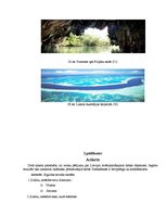 Referāts 'Septiņi jaunie pasaules dabas brīnumi', 42.