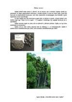 Referāts 'Japāna - uzlēcošās saules zeme', 4.