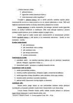 Referāts 'Kredīta nodrošinājuma problēmas Latvijā', 5.