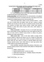 Referāts 'Kredīta nodrošinājuma problēmas Latvijā', 8.