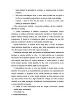 Eseja 'Komunikācijas analīze reklāmā', 2.