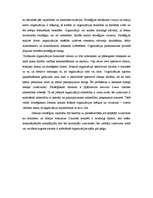 Referāts 'Ārējās vides, iekšējās vides un stratēģijas analīze un realizācija', 3.