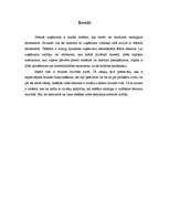 Referāts 'Ārējās vides, iekšējās vides un stratēģijas analīze un realizācija', 4.