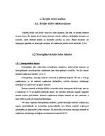 Referāts 'Ārējās vides, iekšējās vides un stratēģijas analīze un realizācija', 5.