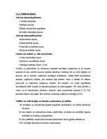 Referāts 'Ārējās vides, iekšējās vides un stratēģijas analīze un realizācija', 6.