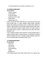 Referāts 'Ārējās vides, iekšējās vides un stratēģijas analīze un realizācija', 7.