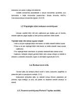 Referāts 'Ārējās vides, iekšējās vides un stratēģijas analīze un realizācija', 10.