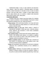 Referāts 'Ārējās vides, iekšējās vides un stratēģijas analīze un realizācija', 11.