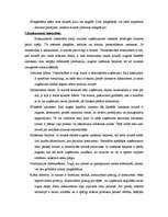 Referāts 'Ārējās vides, iekšējās vides un stratēģijas analīze un realizācija', 14.