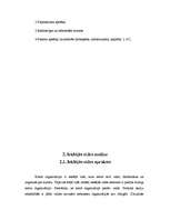 Referāts 'Ārējās vides, iekšējās vides un stratēģijas analīze un realizācija', 17.