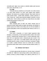 Referāts 'Ārējās vides, iekšējās vides un stratēģijas analīze un realizācija', 18.