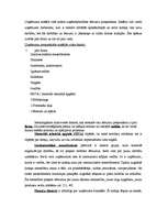 Referāts 'Ārējās vides, iekšējās vides un stratēģijas analīze un realizācija', 19.