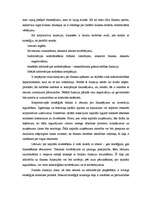 Referāts 'Ārējās vides, iekšējās vides un stratēģijas analīze un realizācija', 20.