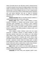 Referāts 'Ārējās vides, iekšējās vides un stratēģijas analīze un realizācija', 21.