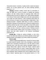 Referāts 'Ārējās vides, iekšējās vides un stratēģijas analīze un realizācija', 22.