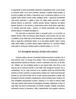 Referāts 'Ārējās vides, iekšējās vides un stratēģijas analīze un realizācija', 28.