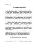 Referāts 'Ārējās vides, iekšējās vides un stratēģijas analīze un realizācija', 29.