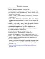 Referāts 'Ārējās vides, iekšējās vides un stratēģijas analīze un realizācija', 33.